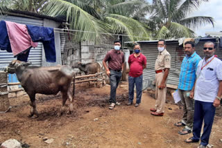 ಅಕ್ರಮ ಕಸಾಯಿಖಾನೆಯ ಮೇಲೆ ಪೊಲೀಸರ ದಾಳಿ