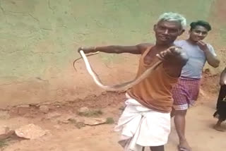 Drunken man in Jharkhand's Hazaribagh dies of a snake bite