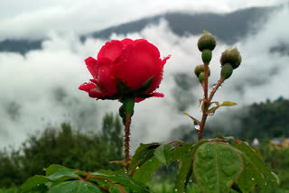 rain-update-monsoon-in-chhattisgarh