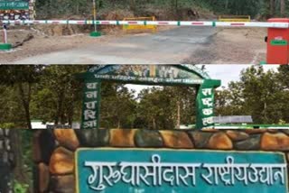 Guru Ghasidas Tiger Reserve approved