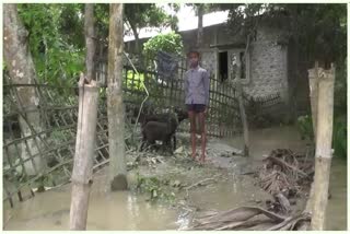 Flood situation in Lowkhowa