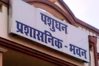 संपत्ति होगी कुर्क, पुलिस ने 9.72 करोड़ घोटाले के फरार आरोपी अनूप राय समेत दो की तलाश में मारा छापा