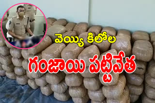 rs crores worth of cannabis  Seized