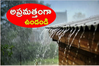 COLLECTOR ON HEAVY RAINS