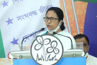 pradesh congress decide to field candidate against mamata banerjee in by poll in bhawanipur