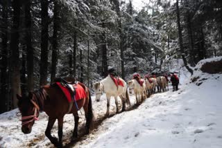 हिमाचल के कुफरी की सैर