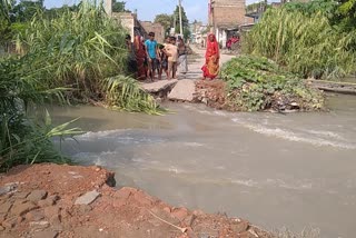 Gopalganj flood