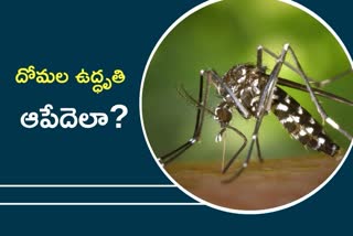 Dengue Alert
