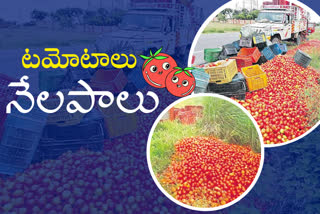 ananthapuram-tomato-farmers-problems