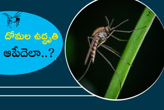 mosquito-excretion-is-on-the-rise-especially-for-ten-different-reasons
