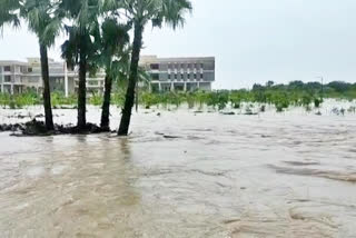 Father and son washed away in water while crossing the bridge