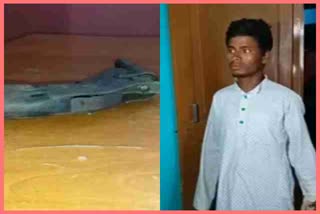one-arrested-with-gun-by-police-in-nagaon