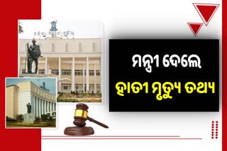 Odisha Assembly: 3 ବର୍ଷରେ କେତେ ହାତୀ ମୃତ୍ୟୁ ହୋଇଛି ?