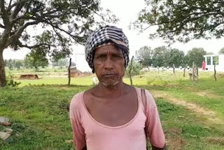 Shahdol's elderly farmer