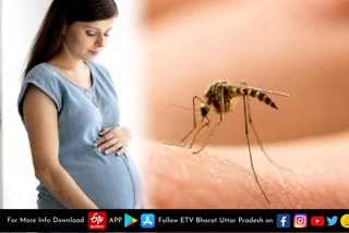 डेंगू से ग्रसित गर्भवती महिलाएं खुद का करें बचाव