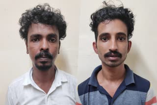 Two arrested  cannabis  ganja  കഞ്ചാവ്  pathanamthitta local news  പത്തനംതിട്ട വാര്‍ത്തകള്‍  കഞ്ചാവ് പിടിച്ചു