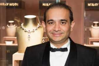 Nirav Modi