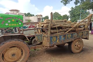 police seized vehicle loaded with illegal wood