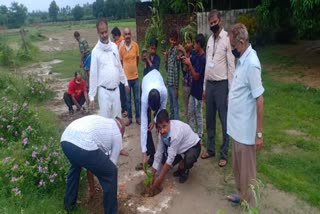 पौधे लगाते पर्यावरण प्रेमी.