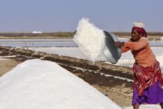 salt production