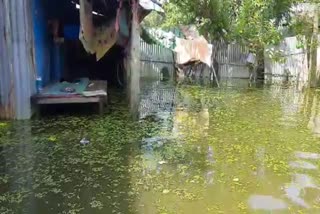 Problem of stagnant water 