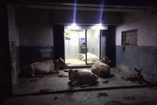 People upset with Bank of India ATM in Dhanbad