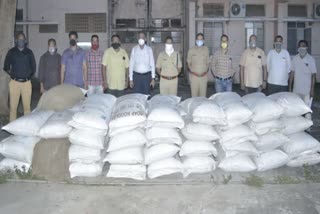 dhule lcb seized cannabis