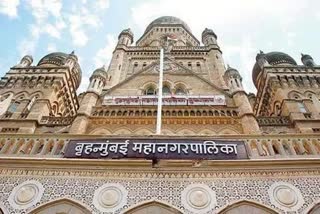 bmc facing economic problems