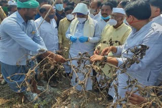 Siddaramaiah