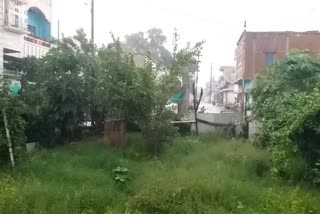 weather pleasent due to rain in Raipur