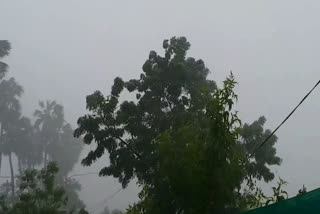 heavy rain in adilabad