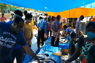 people rush at kukatpally fish market
