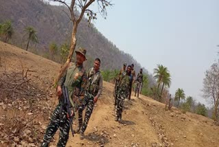 Search operation conducted after information of Naxalite activities in Jamui