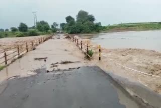 अकोला जिल्ह्यात नैसर्गिक आपत्तीमुळे पाच जणांचा मृत्यू