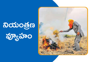 burning of agricultural waste in india