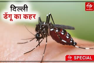 dengue affects children in delhi