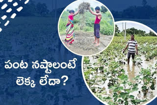 Crop losses in telangana