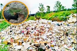 bad-smell-around-garbage-disposal-unit-of-shivamogga