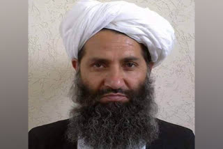 Sharia law will be in force in Afghanistan  says Taliban supreme leader  Sharia law  Taliban supreme leader  Afghanistan  താലിബാന്‍ പരമോന്നത നേതാവ്  ഇസ്ലാമിന്‍റെ ചട്ടക്കൂട്  ശരീഅത്ത് നിയമം  അഫ്‌ഗാനെ ശരീഅത്ത് നിയമം നയിക്കും