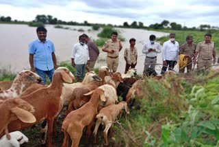 heavy floods