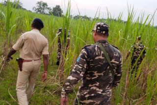 Bihar Panchayat Election