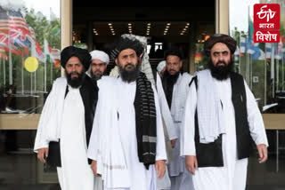 तालिबान सरकार