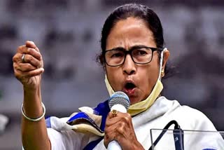 mamata