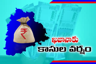 INCOME TO TS GOVT