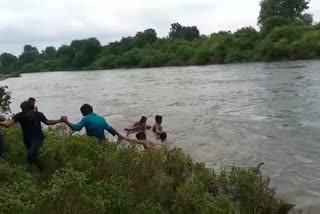 बैलगाडीसह शेतकरी पाण्यात बूडाला, शेतकऱ्याला वाचवण्यात यश;बैलं मात्र दगावले