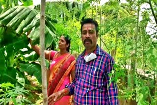 Teacher couple made garden in school