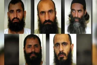 taliban five