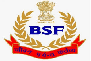 BSF  Punjab News  Ferozepur  BSF arrest a 10-year-Pakistani boy  BSF release 10-year-old Pakistani boy  Pakistan Rangers  Border crossing, goodwill