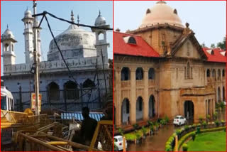 Gyanvapi Mosque Dispute: Allahabad High Court stays ASI survey in mosque