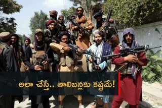 taliban news